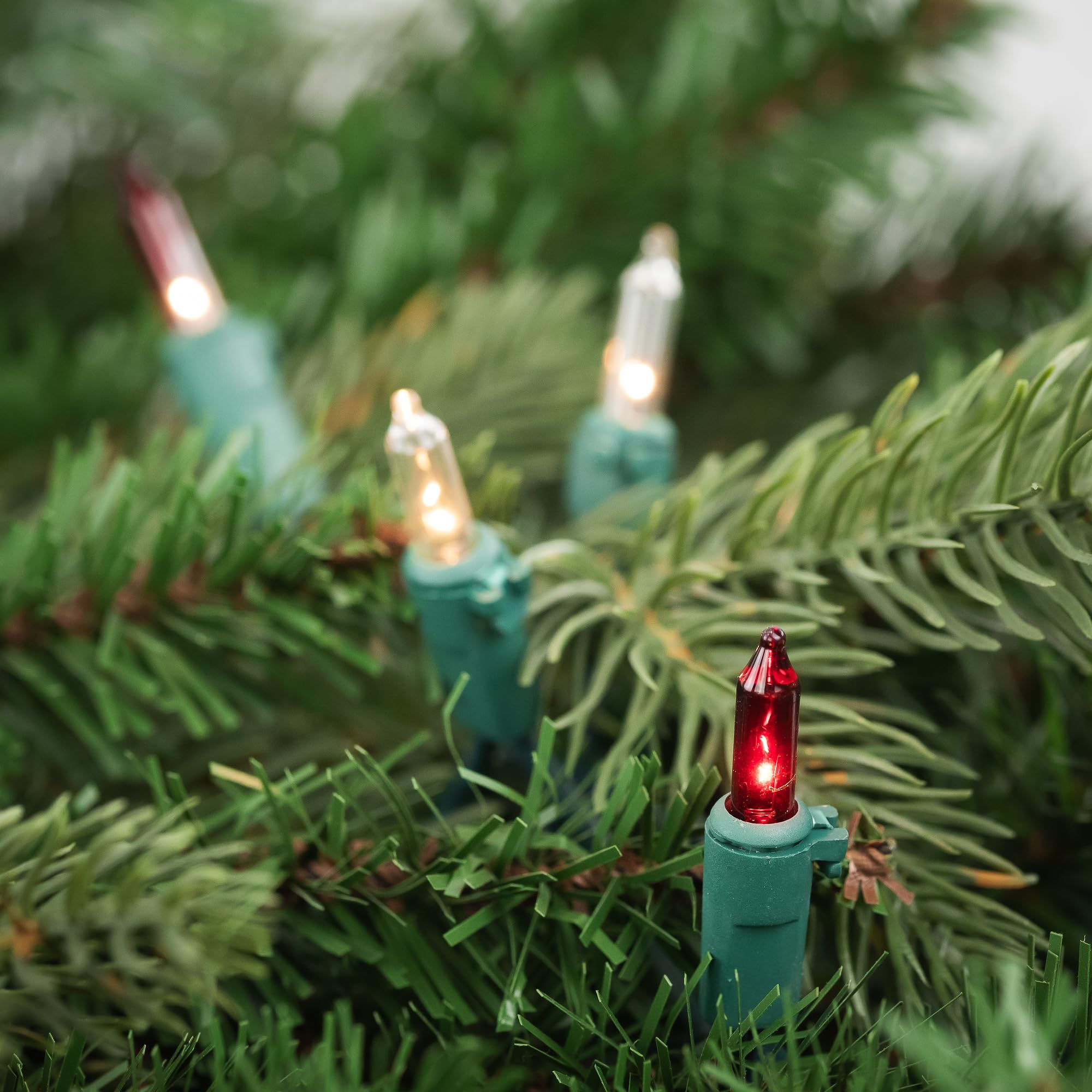 100-Count Red and Clear Mini Christmas Light Set, 20.25ft Green Wire