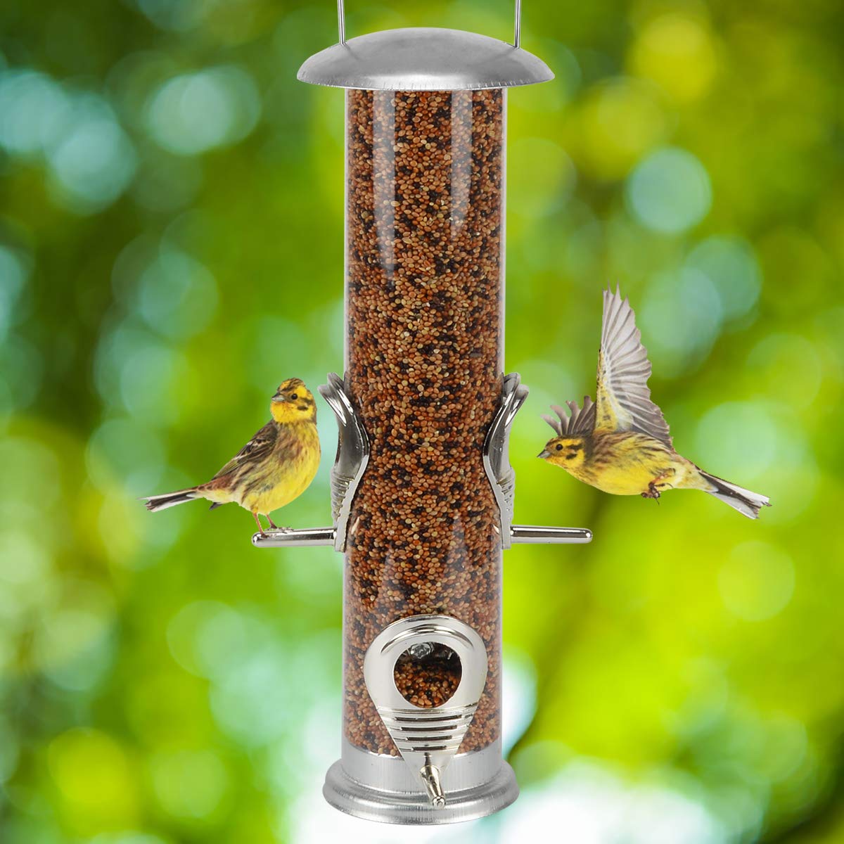 Buy Aobp Bird feeder Wild Bird Seed Feeder Hanging Premium Hanging Home