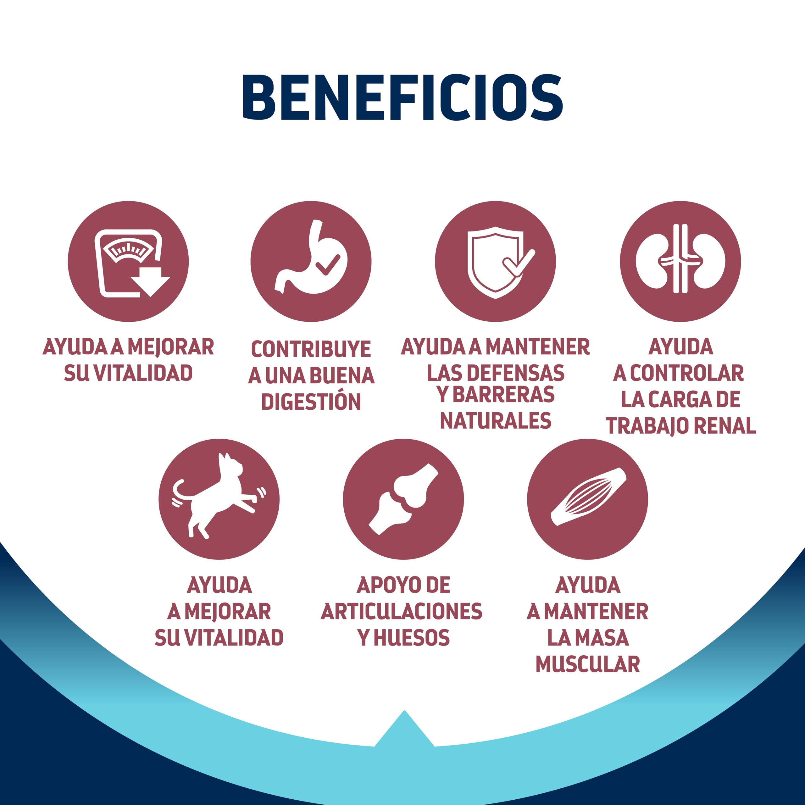 Advance Cat Senior Sterilized, Pienso para Gatos Senior Esterilizados con Pollo, 10kg