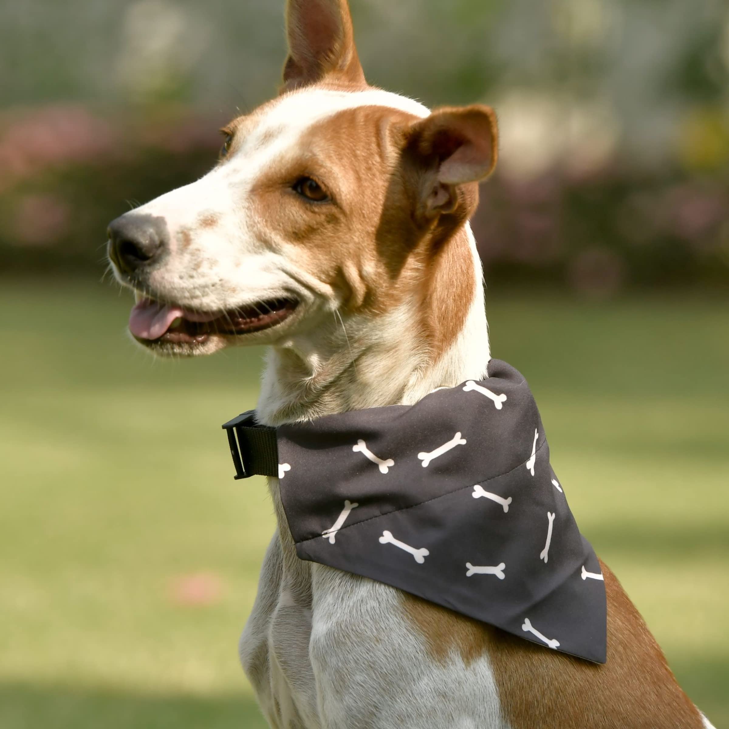 GROOMSOME Navy Blue Dog V-Bandana/Dog Scarf (Size: Small) Pack of 1 (B09L59QFSM) Amazon Price History, Amazon Price Tracker