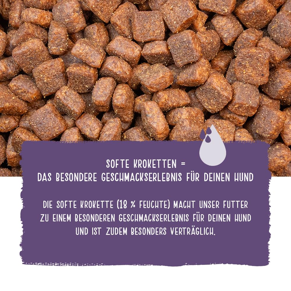 Chicopee Classic Nature Line | Soft Senior | Hundefutter halbfeucht | Mit Huhn & Reis | Weizenfrei & Soft-Krokette | Bedarfsgerechtes Life-Cycle-Konzept | Inspiriert von der Natur Kanadas | 15 kg