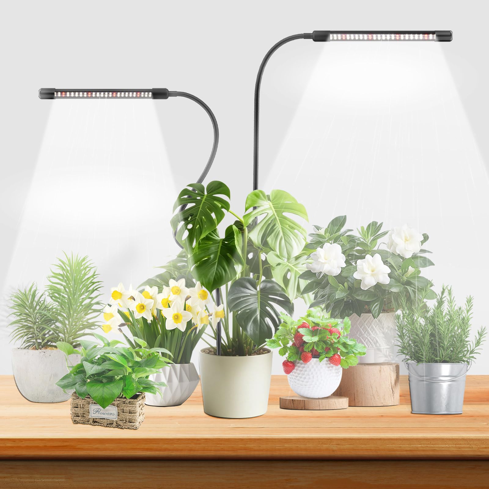 Aazon.co : Grow Lights for Indoor Plants with Tier,Red Blue White