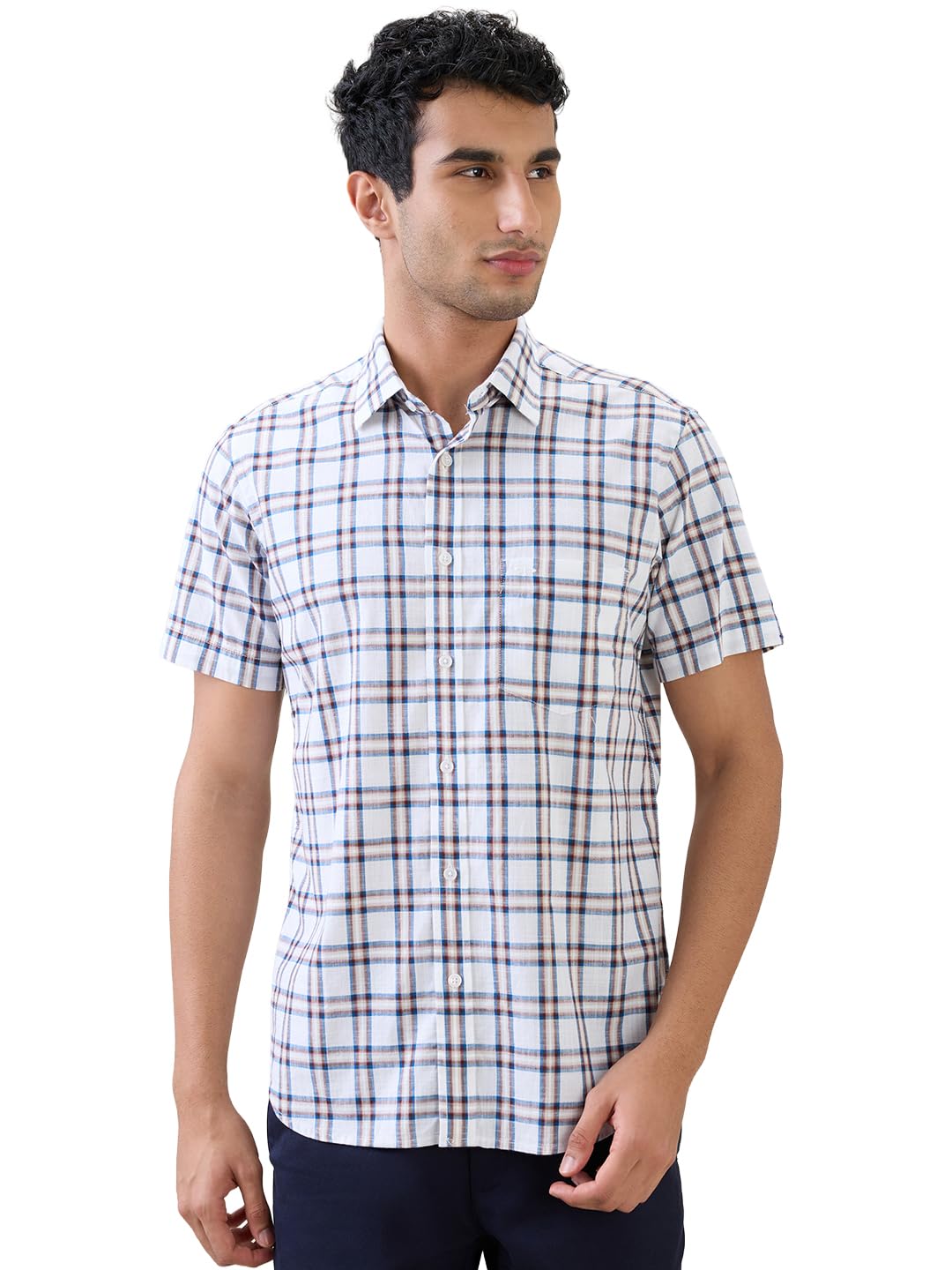 Men Regular Fit Checks Pattern Pure Cotton Plain Collar Half Sleeve Casual Shirt-image-34