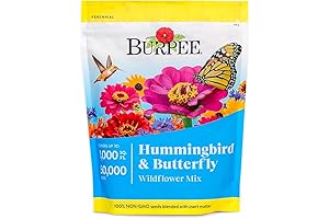 Burpee Wildflower Seed Mix: A Haven for Hummingbirds and Butterflies