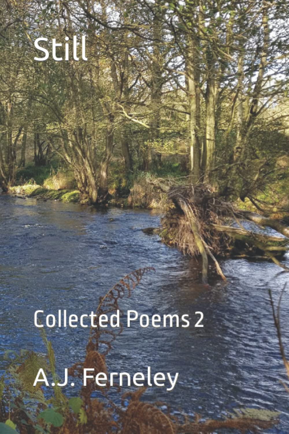 Still: Collected Poems 2 (Poetry by A.J. Ferneley)