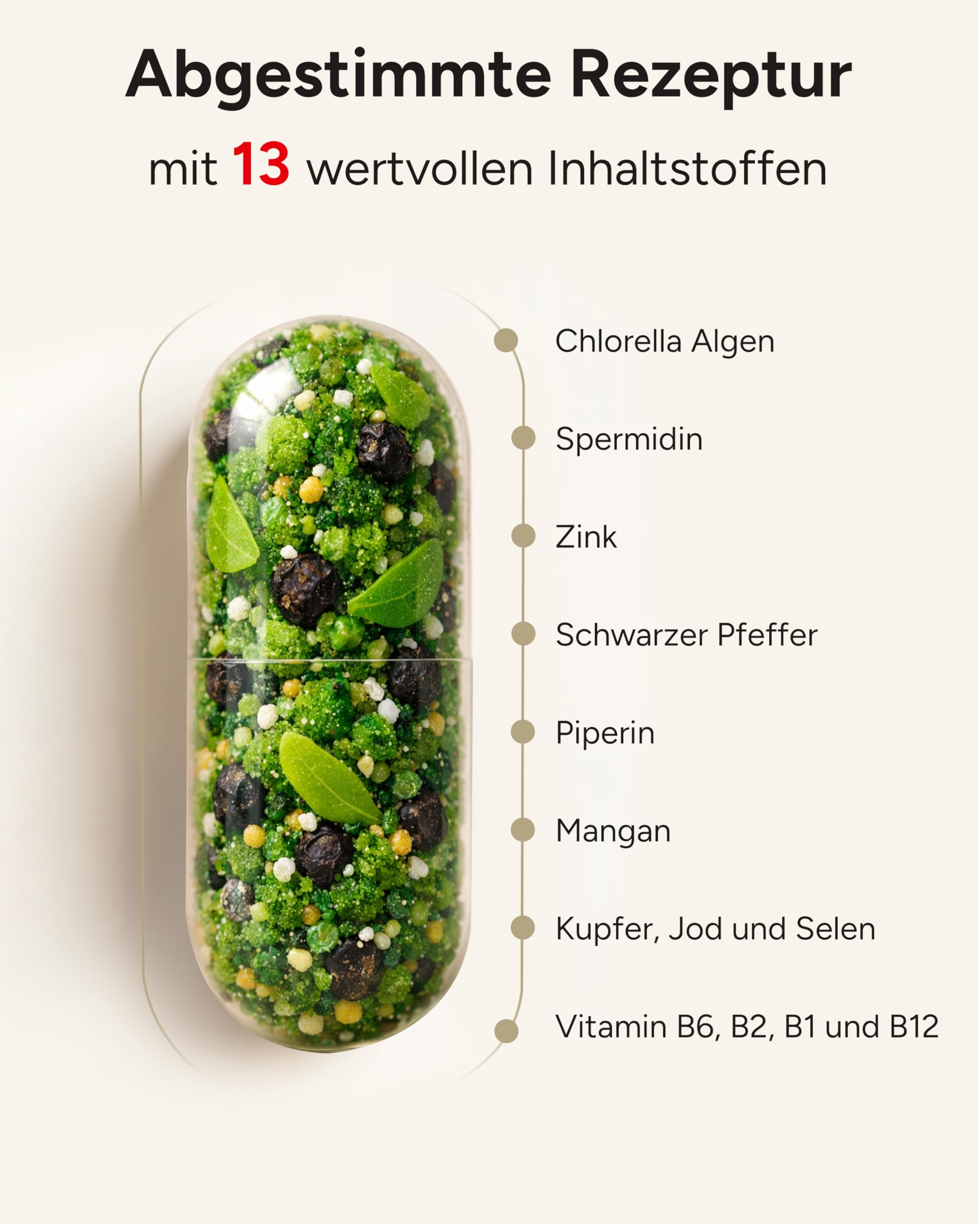 180 Spermidin Kapseln hochdosiert aus Chlorella - hoher natürlicher Chlorophyll Gehalt + 3mg Spermidine hochdosiert - 3 Monatsvorrat