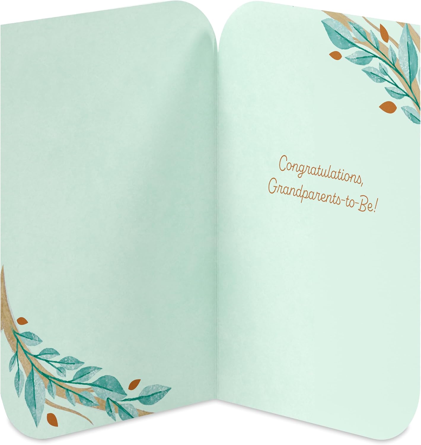 American Greetings Congratulations Card for New Grandparents, Grandparents-to-Be, New Baby (Tree Branches with Heart)