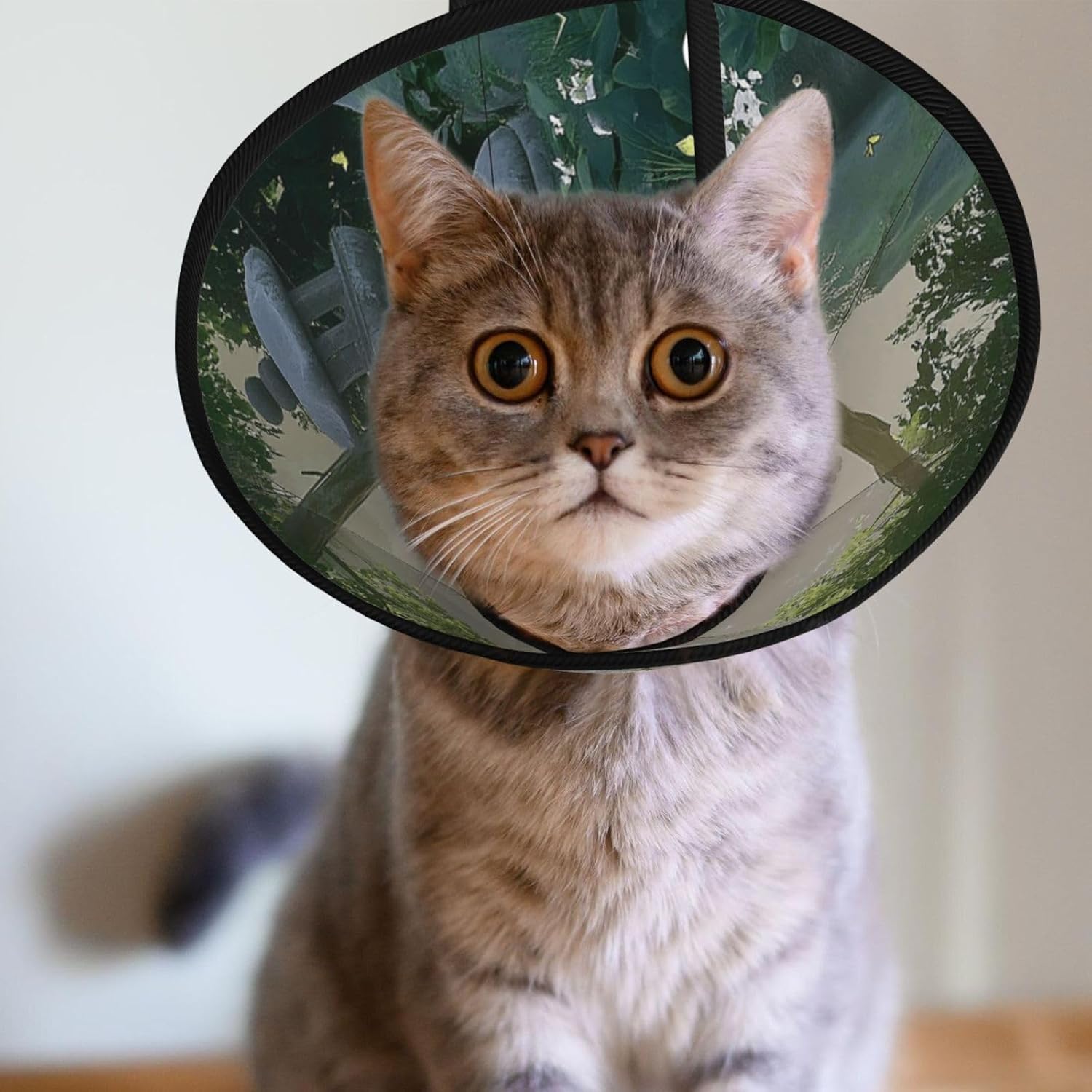 Custom Pet Cones - Unique Design Cat & Dog Cone, Collar for Post-Surgery Recovery, Adjustable Neck Zen Garden Medium