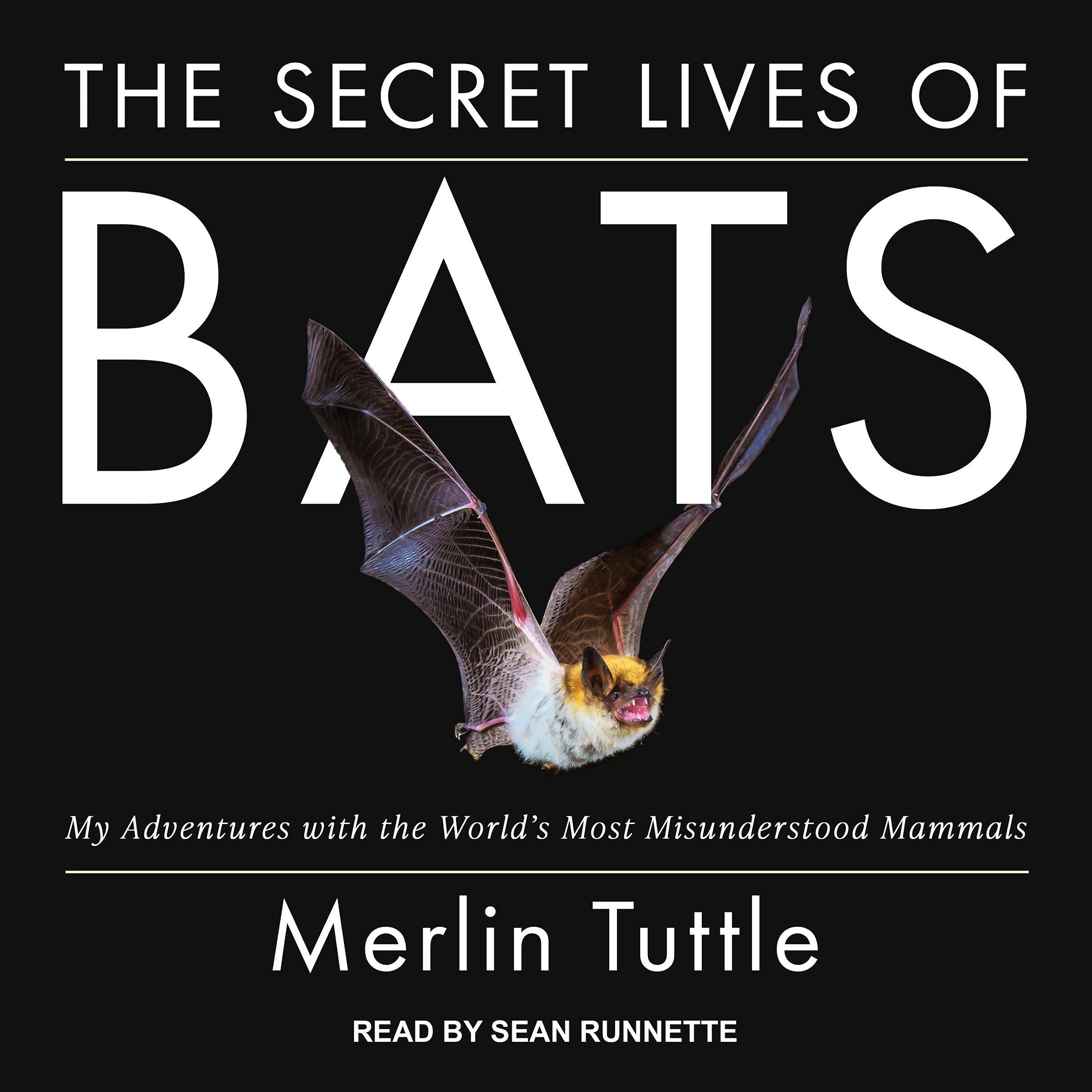 Cover art for The Secret Lives of Bats