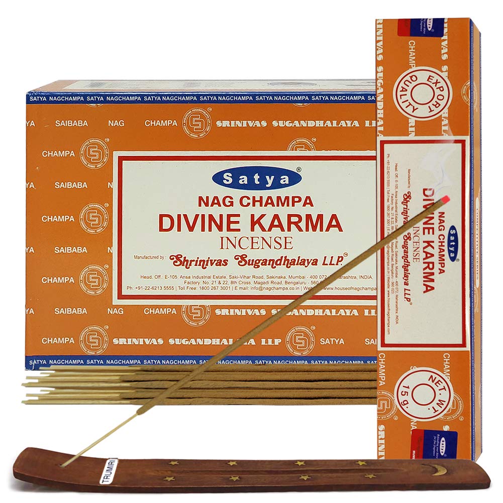 Divine Karma Incense Sticks and Incense Stick Holder Bundle Insence Insense Satya Incense
