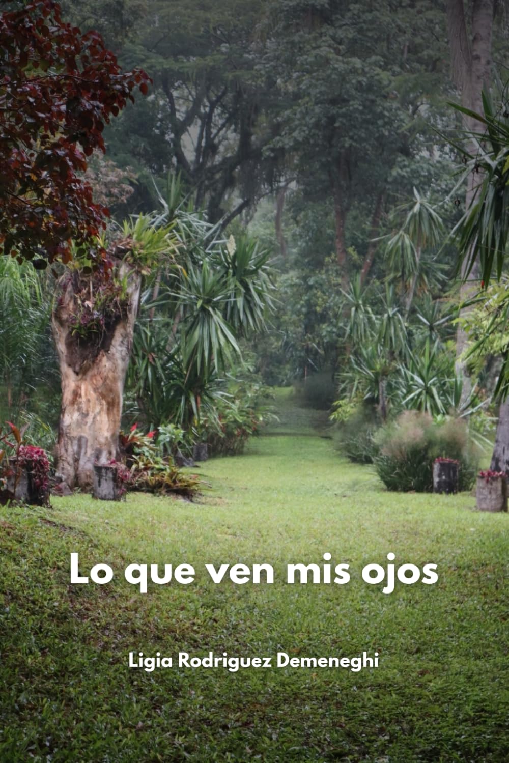 Lo que ven mis ojos