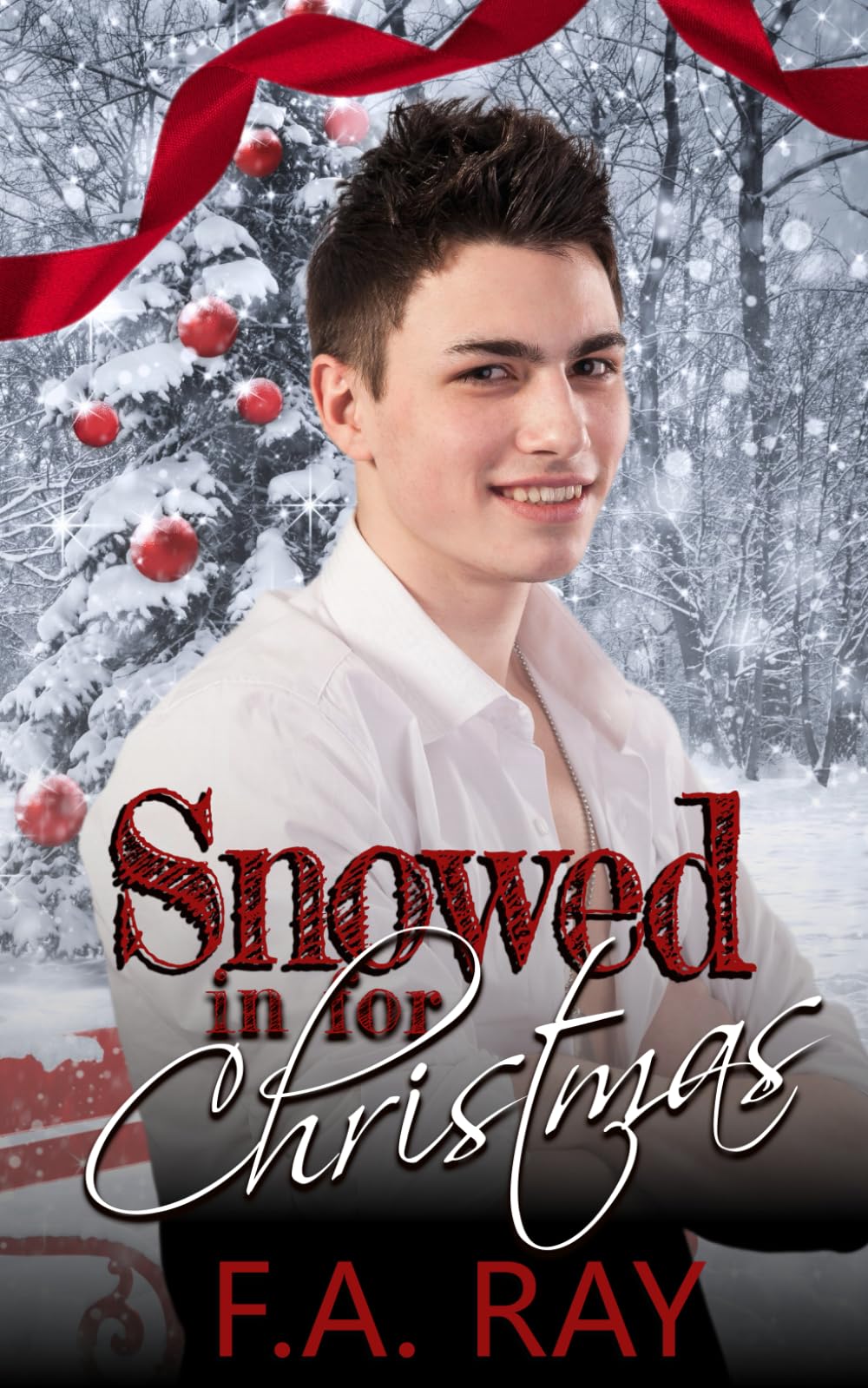 Snowed in for Christmas: An Enemies-to-Lovers Christmas MM Romance