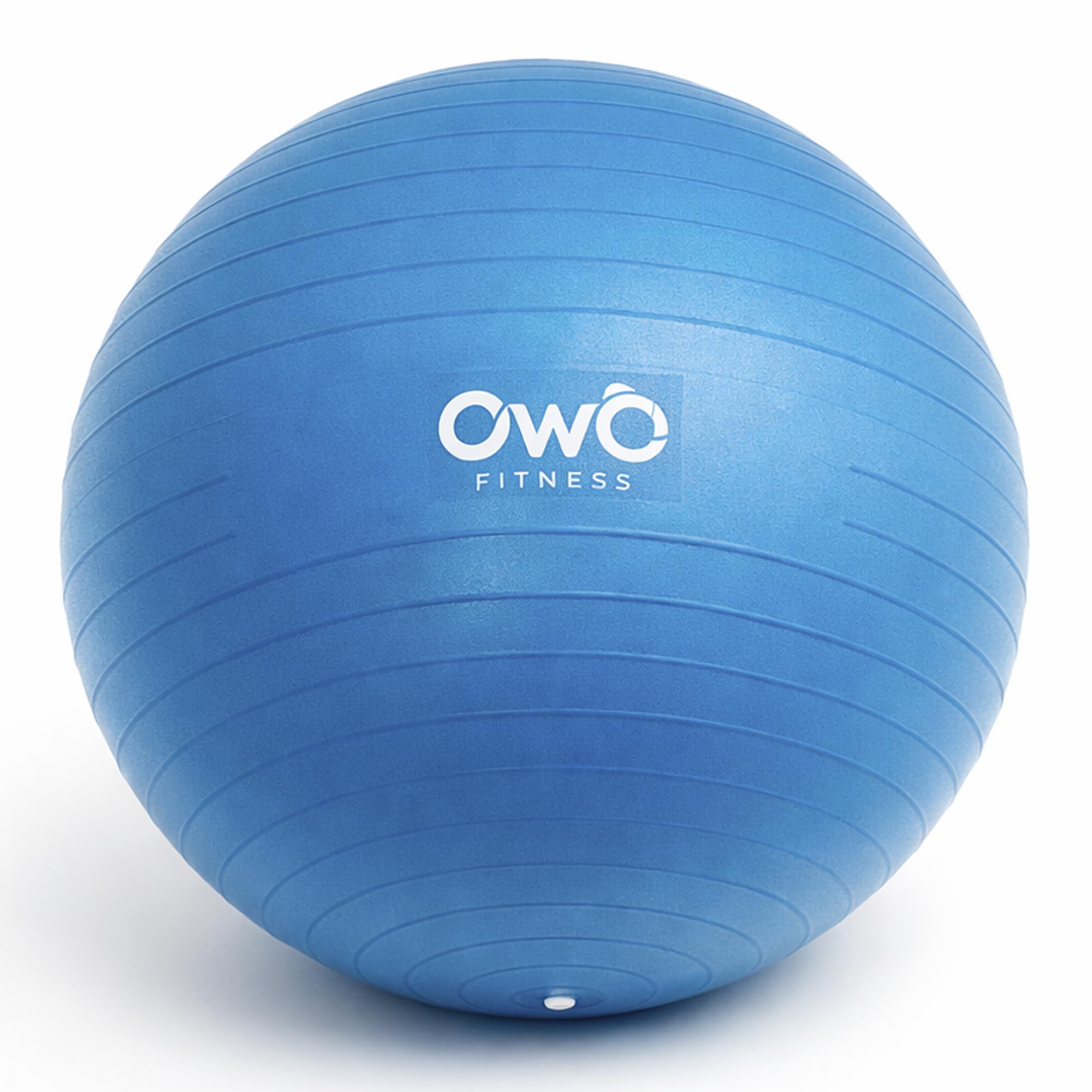 Bola De Pilates Yoga Academia Owo Fitness 65cm- Com Bomba