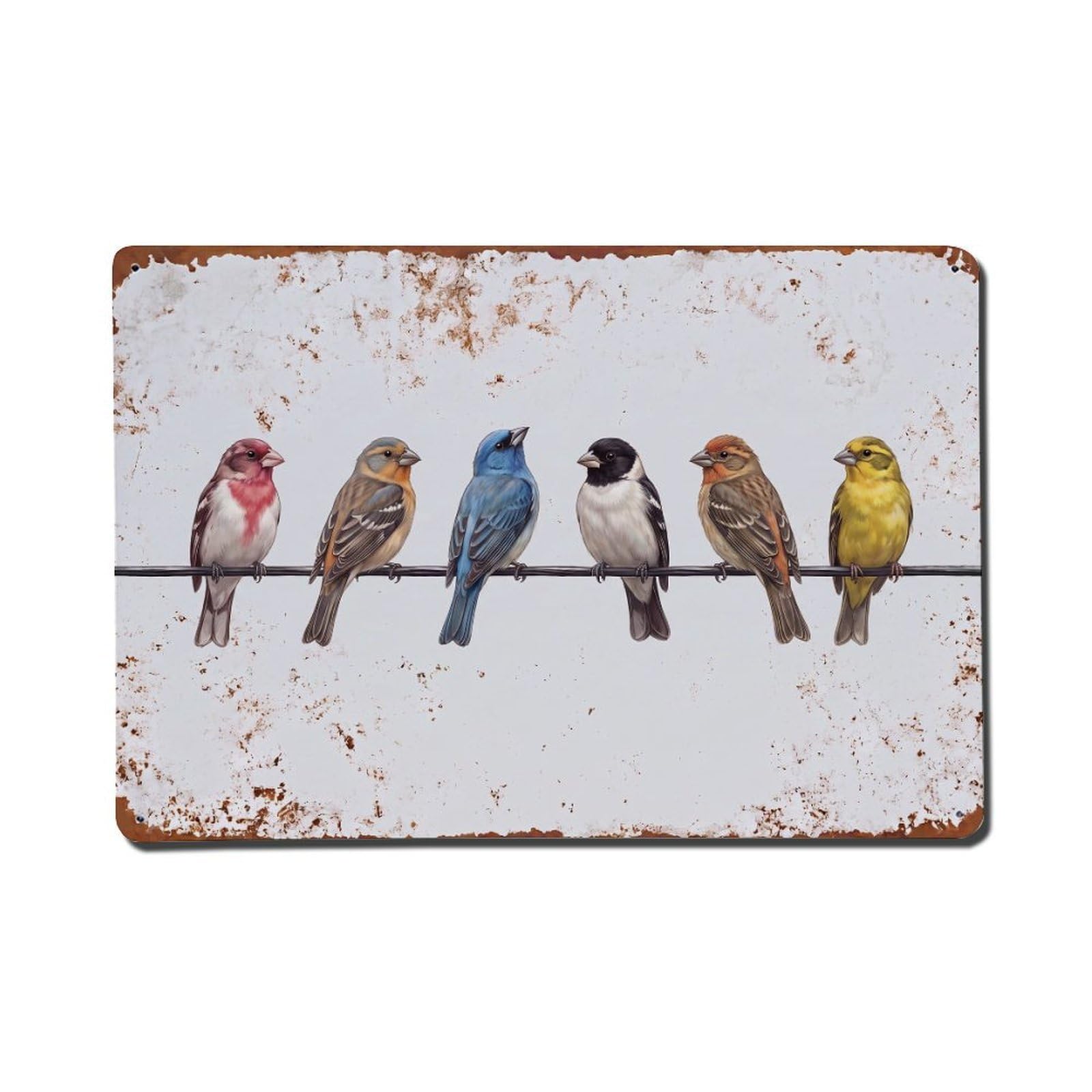 Vintage Retro Birds Grosbeak Metal Tin Sign
