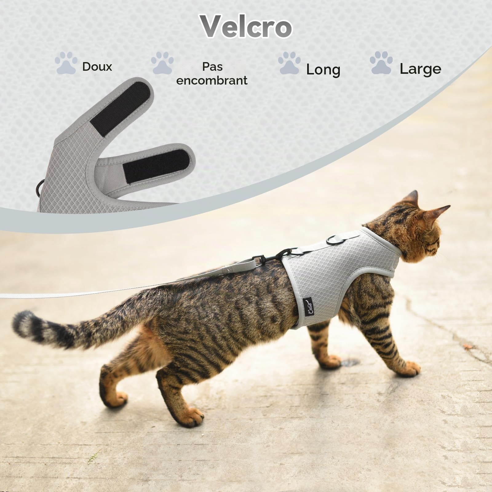 Harnais et Laisse Anti-Fugue pour Chat - Tissu en Maille Respirante - Harnais réglable, rembourré et élégant - Gris uni, Taille L