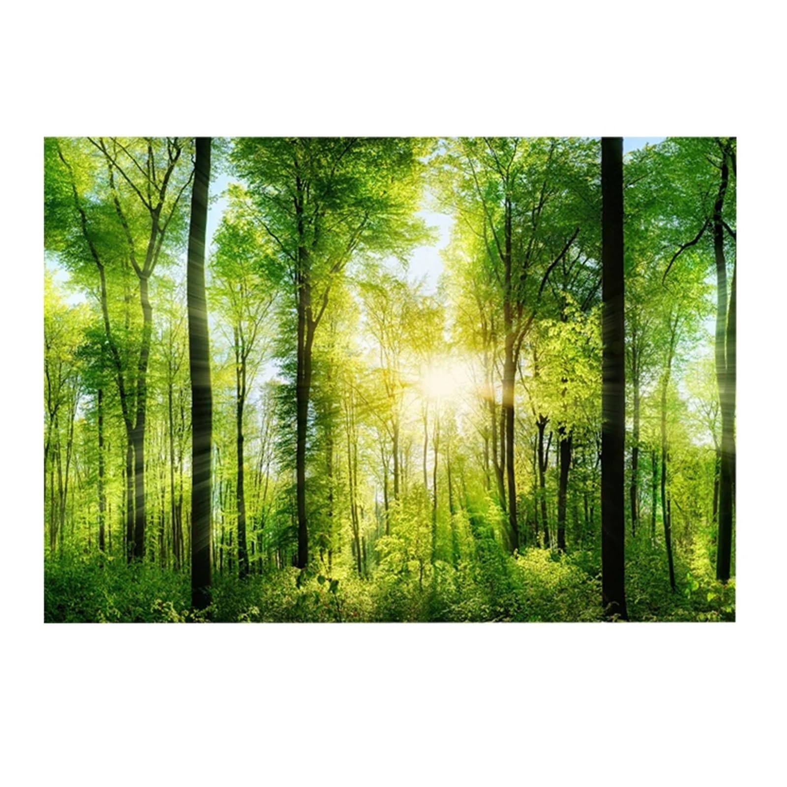 OJEVMLFVQ Aquarium Background 3D Effect Adhesive Forest Poster Sticker for Aquarium Fish Tank Backdrop(122X50cm)