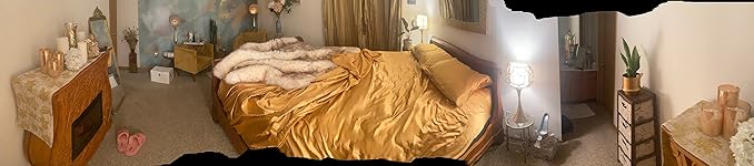 Review Image by Alexis Alexis