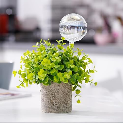 Miniatura 8 de 6 piezas Sistema de riego automático de vidrio transparente iridiscente color degradado arcoíris claro, bombillas automáticas para regar plantas