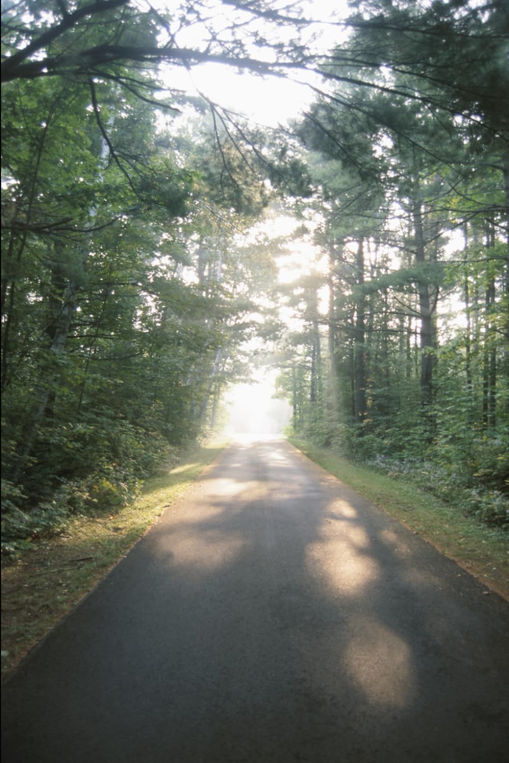 The Path: Our Journey to Faith