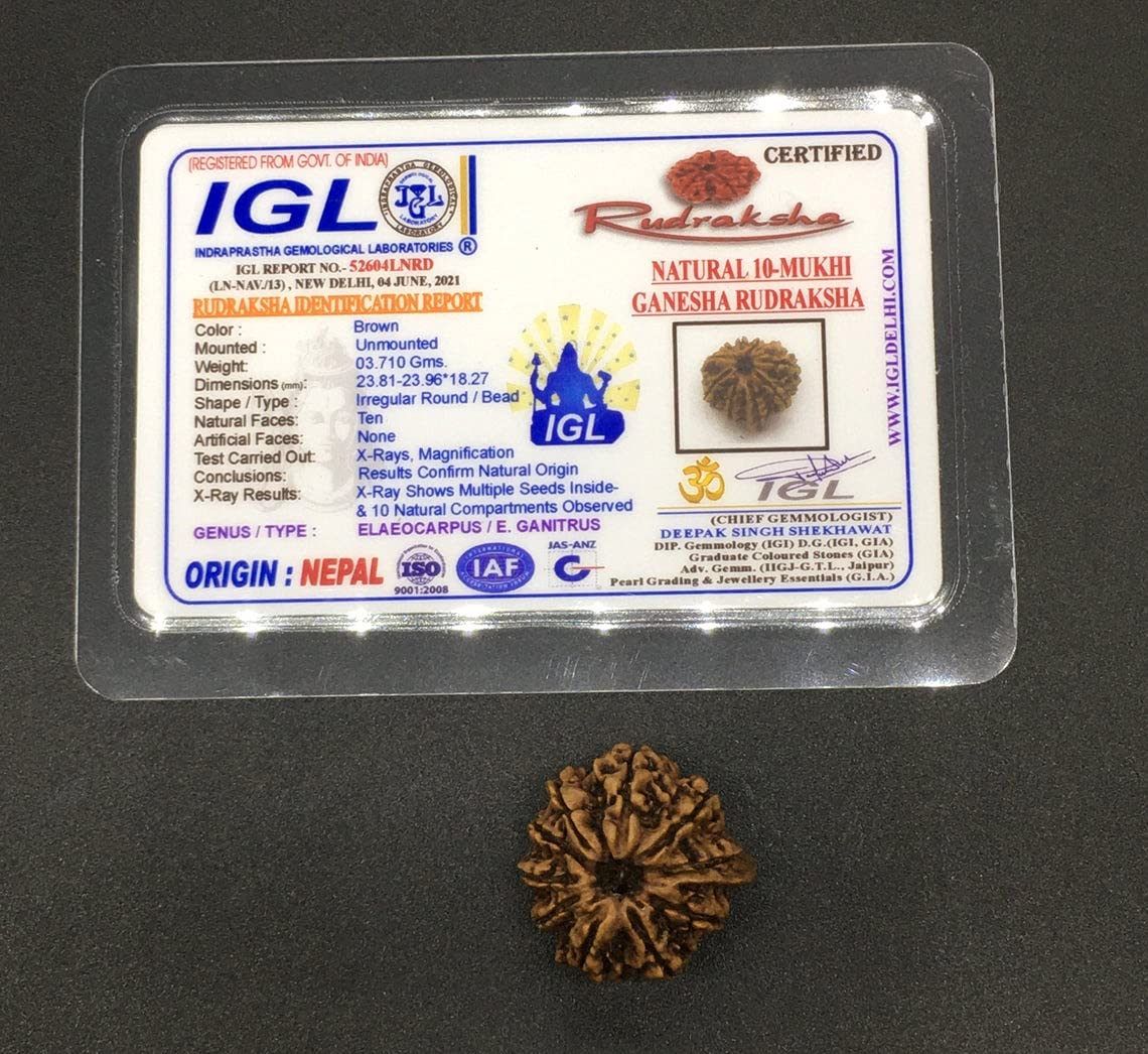 Cuenta Ganesh Rudraksha natural para sesiones de yoga y reducción del estrés cotidiano