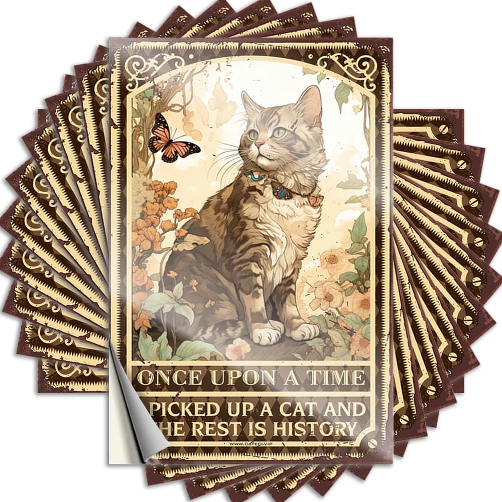 Roll Waterproof Stickers | Once Upon A Time I Picked Up A Cat and The Rest is History Cheap Durable Vinyl Sticker Easy Apply for Cars(12X18CM)