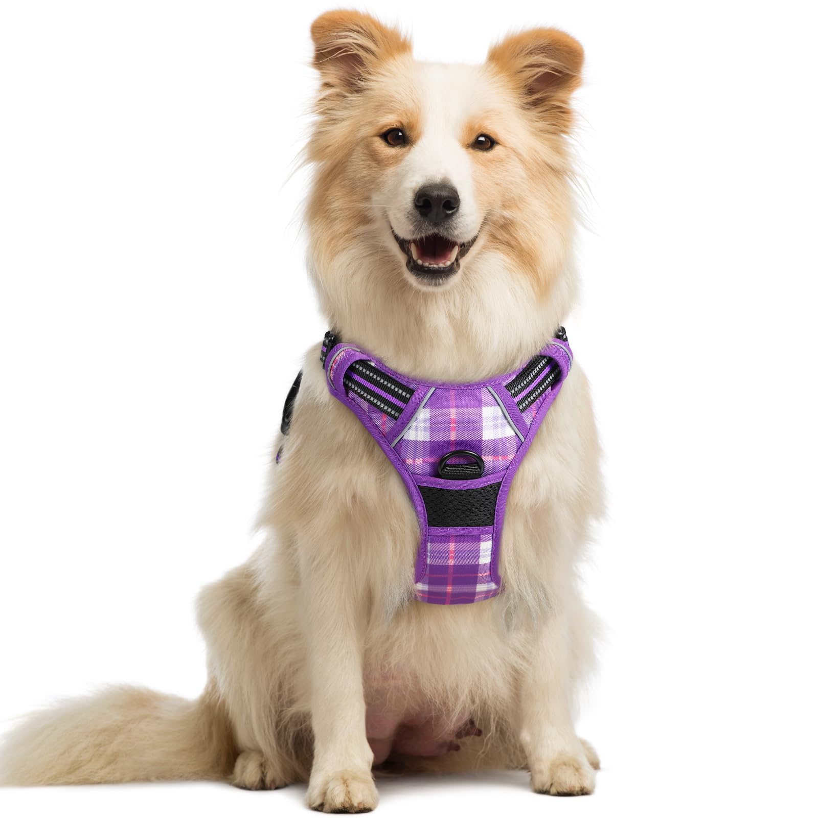 rabbitgoo Dog Harness