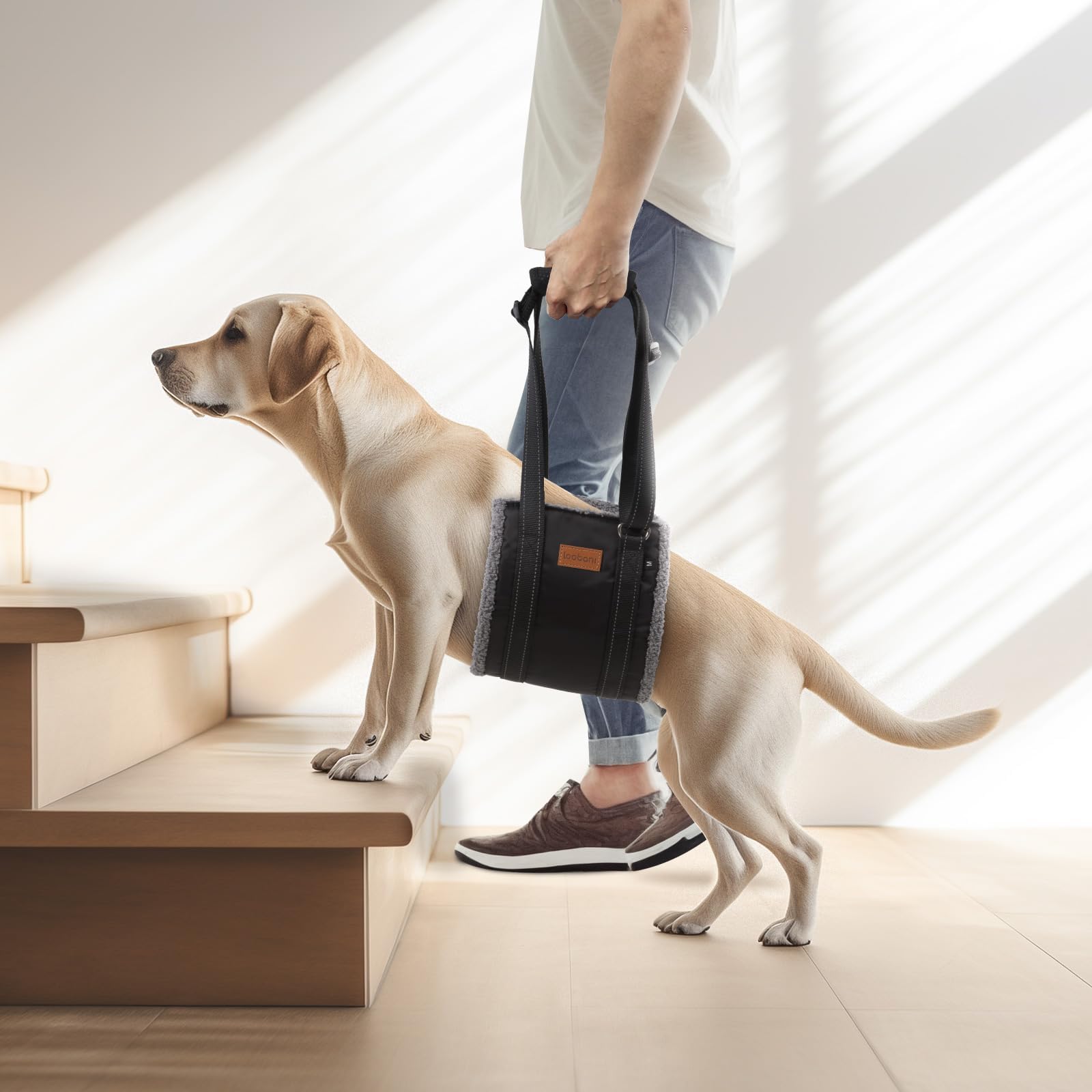 Petslucent Dog Carrier Sling For Back Legs, Pet Leg Lifter Hip Back Support Help Em Up Harness For Medium & Large Dogs Senior, Injured, Disabled And