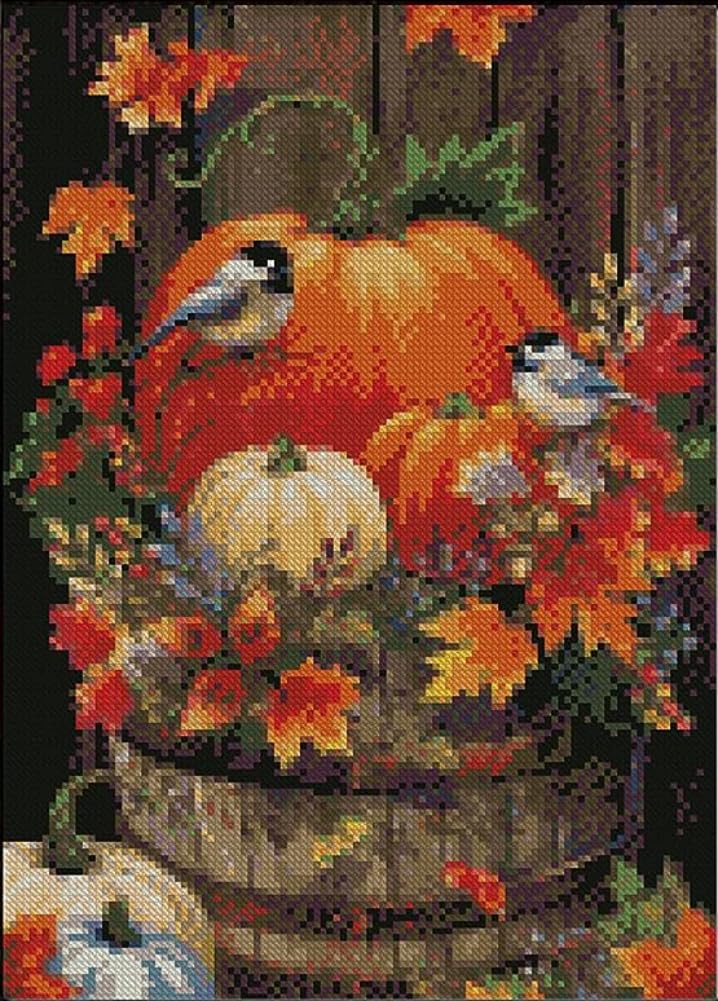 Pumpkins Fall Leaves Birds Halloween DIY Cross Stitch Art Craft 16x20 inch Fabric with Accessories, 11ct Pre Printed Stamped Embroidery Kits for Adults Beginners (Orange 1)