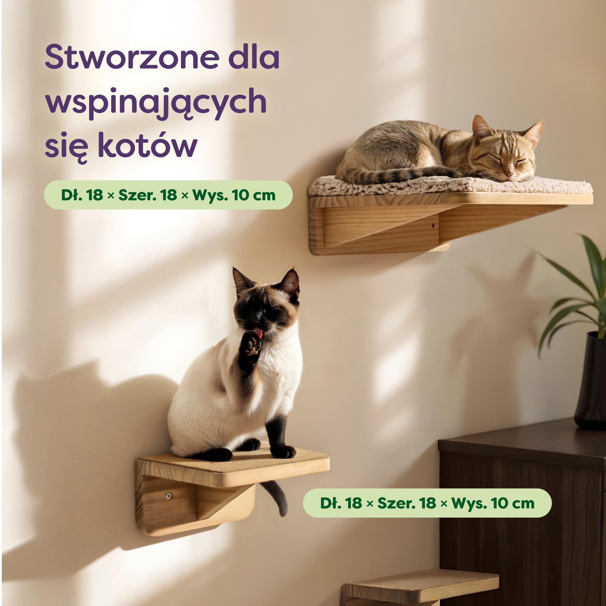 Knupis Zestaw Ściennej Drabinki dla Kota z Legowiskiem & 2x Schodkami – FSC® Lite Drewno Sosnowe, Stabilna Półka Ścienna do 30 kg – dla Zabawy i Wygody - Beżowy | Wykonany z litego drewna sosnowego FSC, stabilny leżak ścienny, zapewniający zabawę i przytu