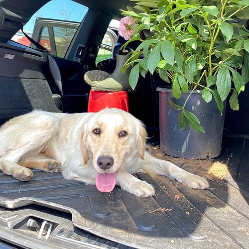 Vista 21 de Alfombrillas para piso para Hyundai Santa Cruz 2022-2026, ajuste personalizado 3D, compatibles con Hyundai, Santa Cruz, alfombrillas de goma