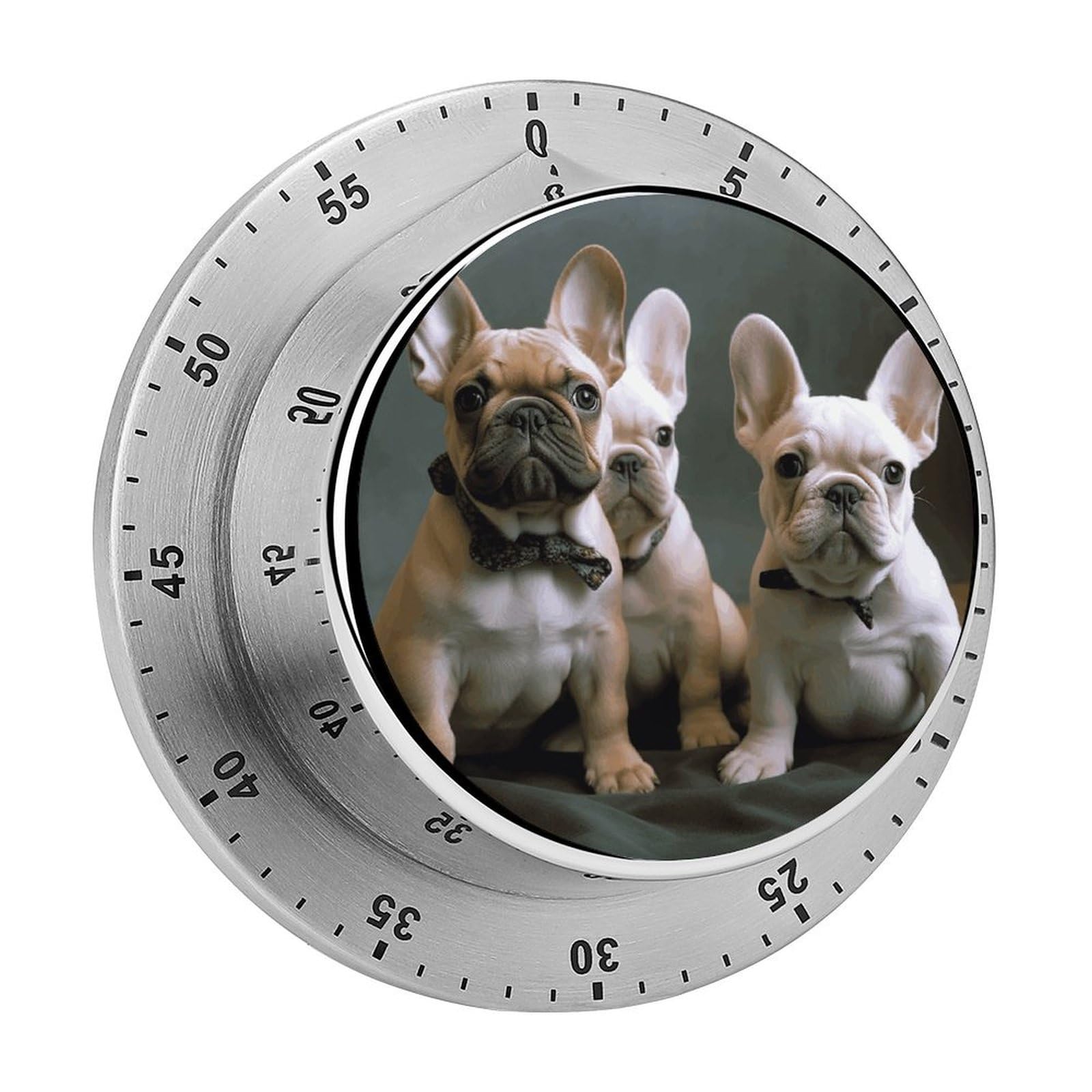 French Bulldog Puppies Timers Adsorbable Stainless Steel Kitchen Timer Loud 60 Minute Visual Timer Portable Manual Countdown Timers Alarm Clock Time Management Tool for Home Work