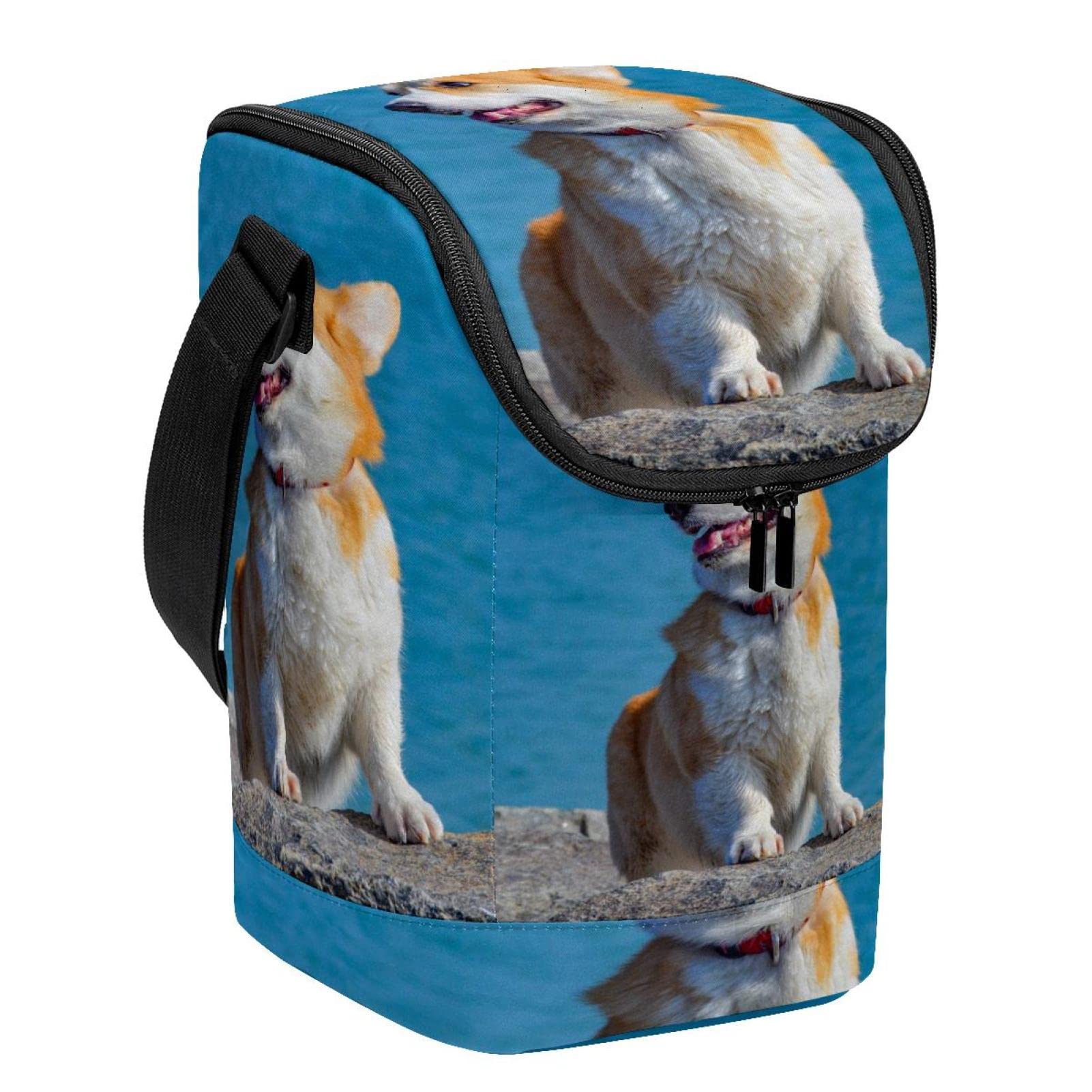 Bolsa de almuerzo de Corgi reutilizable que soluciona los derrames escolares