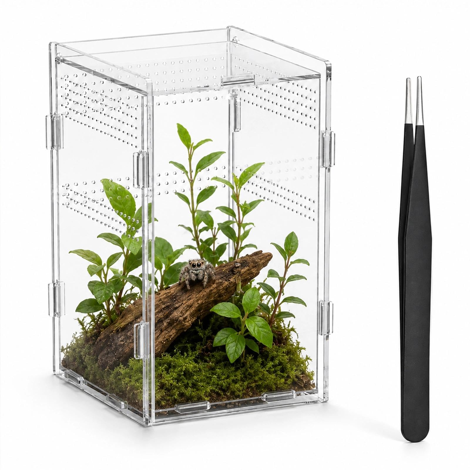 Jumping Spider Enclosure Kit, 12x12x20cm Acrylic Ventilation Terrarium