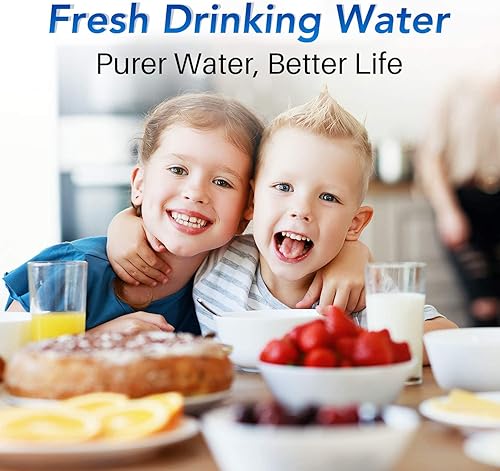 Miniatura 8 de ICEPURE Reemplazo del filtro de agua para jarra de 5 etapas NSF53&42 para ZERO ZR-001, ZR-003, ZR-017, ZP-007RP, ZD-013W, ZS-011RP, ZD-012RP,