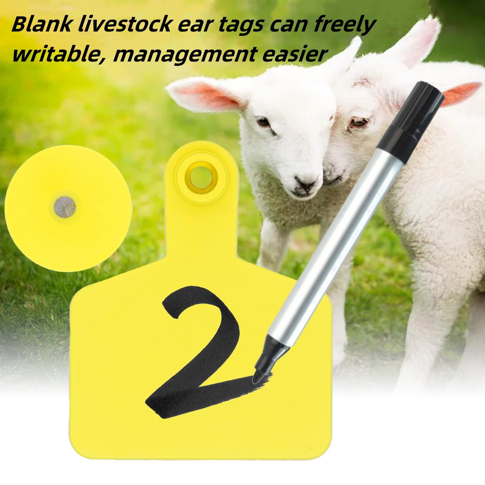 100PCS Blanko-Ohrmarken für Kuh TPU Rinder Ohrmarken Tier Identifikationskarte für Schafe Ziegen Kühe Rinder Kalb Schweine Farm