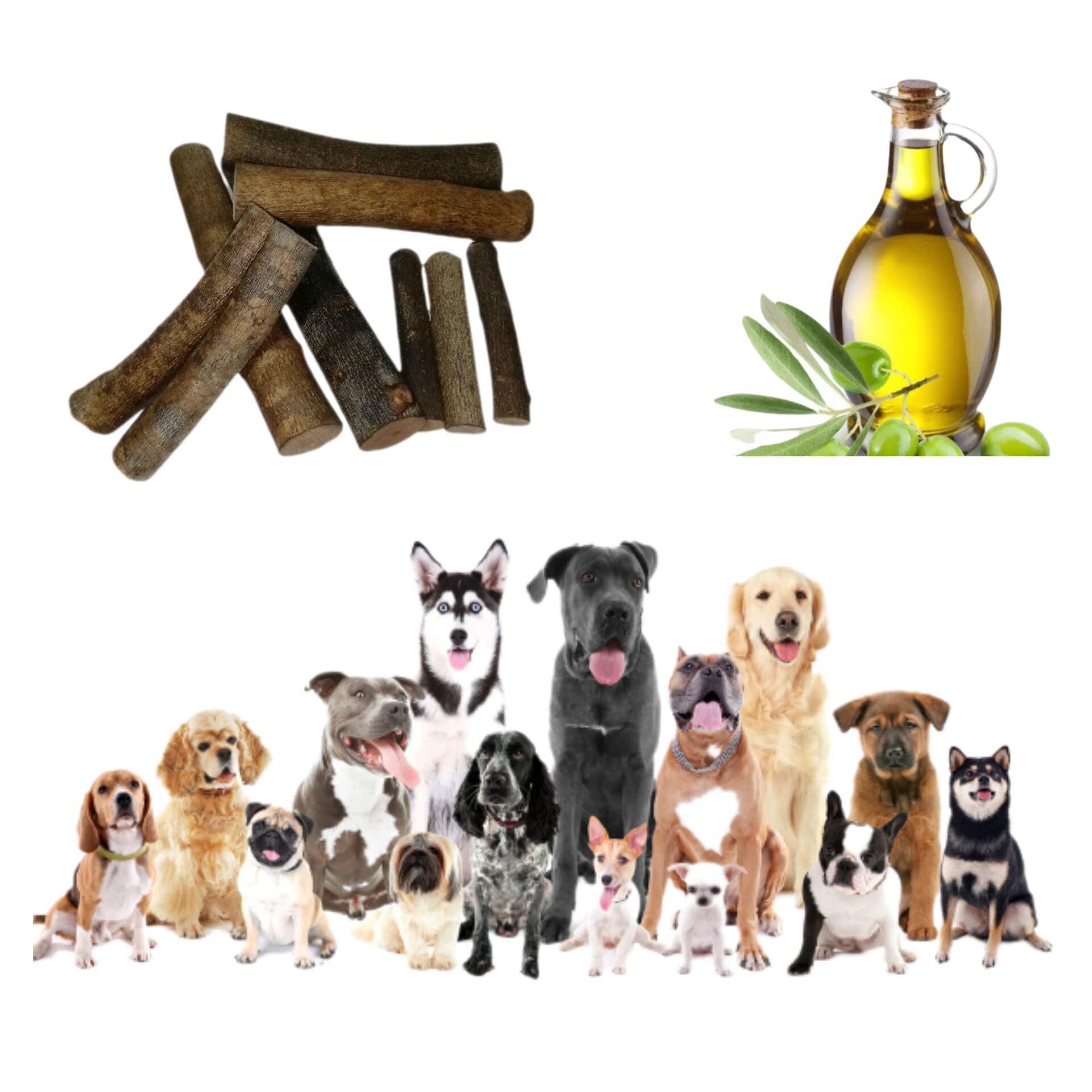 Huesos para perros, pack 2 y 3 ud palos anti-estres, bañados en aceite de oliva puro, mordedor madera de olivo sin astillas, higiene sarro y halitosis, (1 baño aceite oliva puro, L pack 2 und)