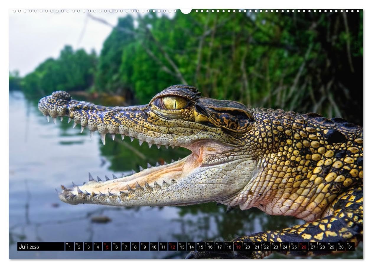 Sri Lanka 2026 – Exotische Welt (hochwertiger Premium Wandkalender 2026 DIN A2 quer), Kunstdruck in Hochglanz: Beeindruckende Naturlandschaften und ... in hochauflösenden Bildern (CALVENDO Orte)