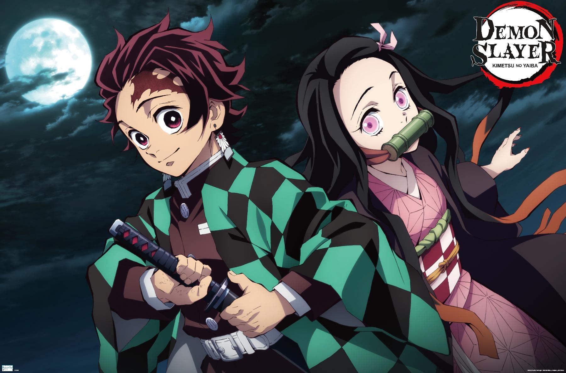 Trends International Demon Slayer - Tanjiro & Nezuko Night Wall Poster, 22.375" x 34", Unframed Version