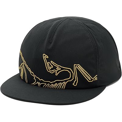 Arcteryx Silex Cap