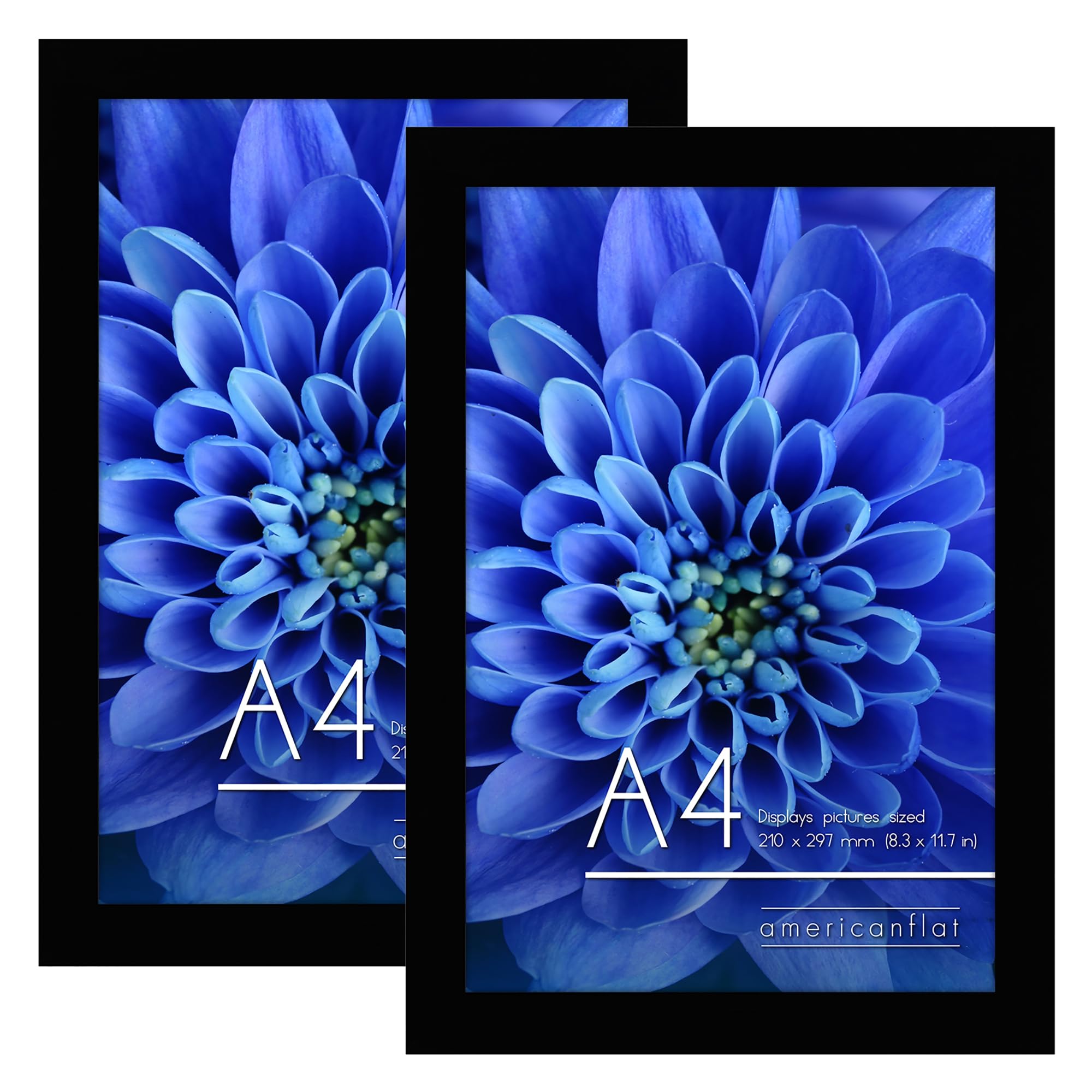 Americanflat A4 Picture Frames in Black - Set of 2 - Engineered Wood with Shatter Resistant Glass - Horizontal and Vertical Formats for Wall and Tabletop - 21x29.7 cm
