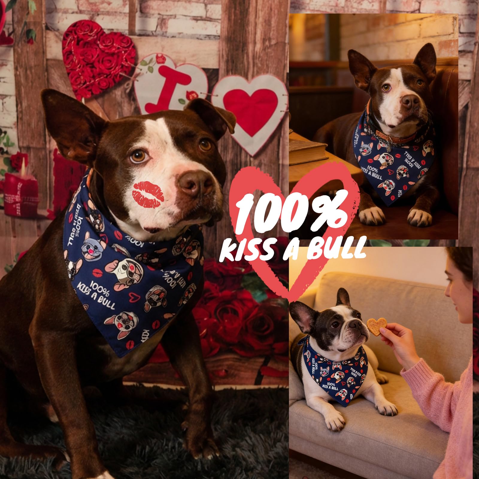 Bandana per cani San Valentino bulldog francese Kiss A Bull taglia media grande 13-34 kg