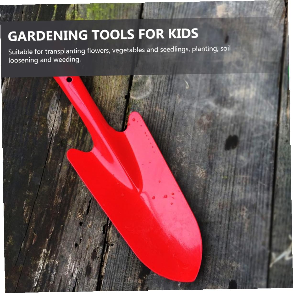 5 Stück Gartenschaufel Klein Metallschaufeln Für Gartenarbeit Pflanzen Graben Kompakt Leicht Handwerkzeuge Für Blumenbeete Balkon Und Familie