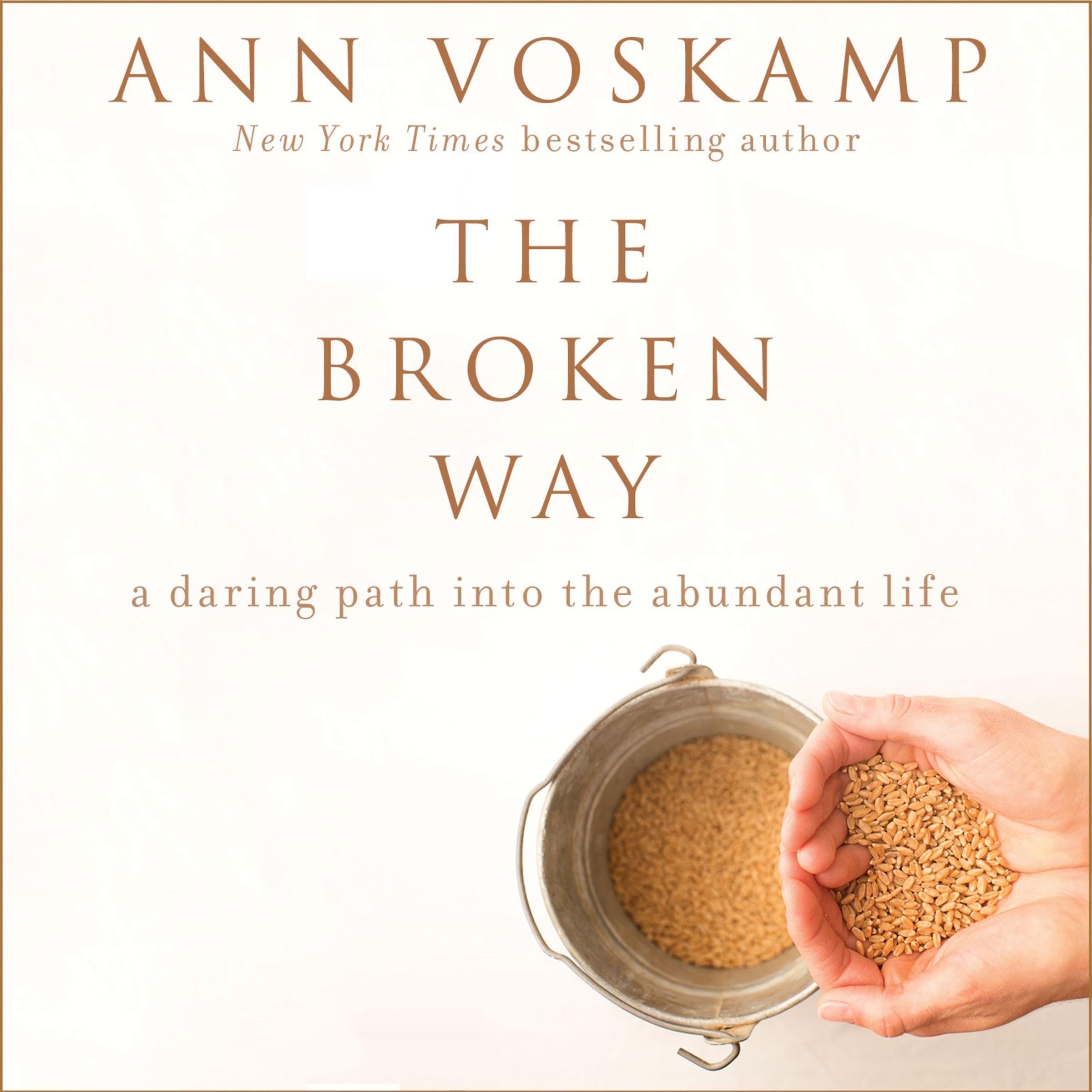 Cover art for The Broken Way