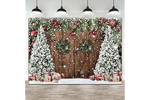 Christmas Backdrops for Photography