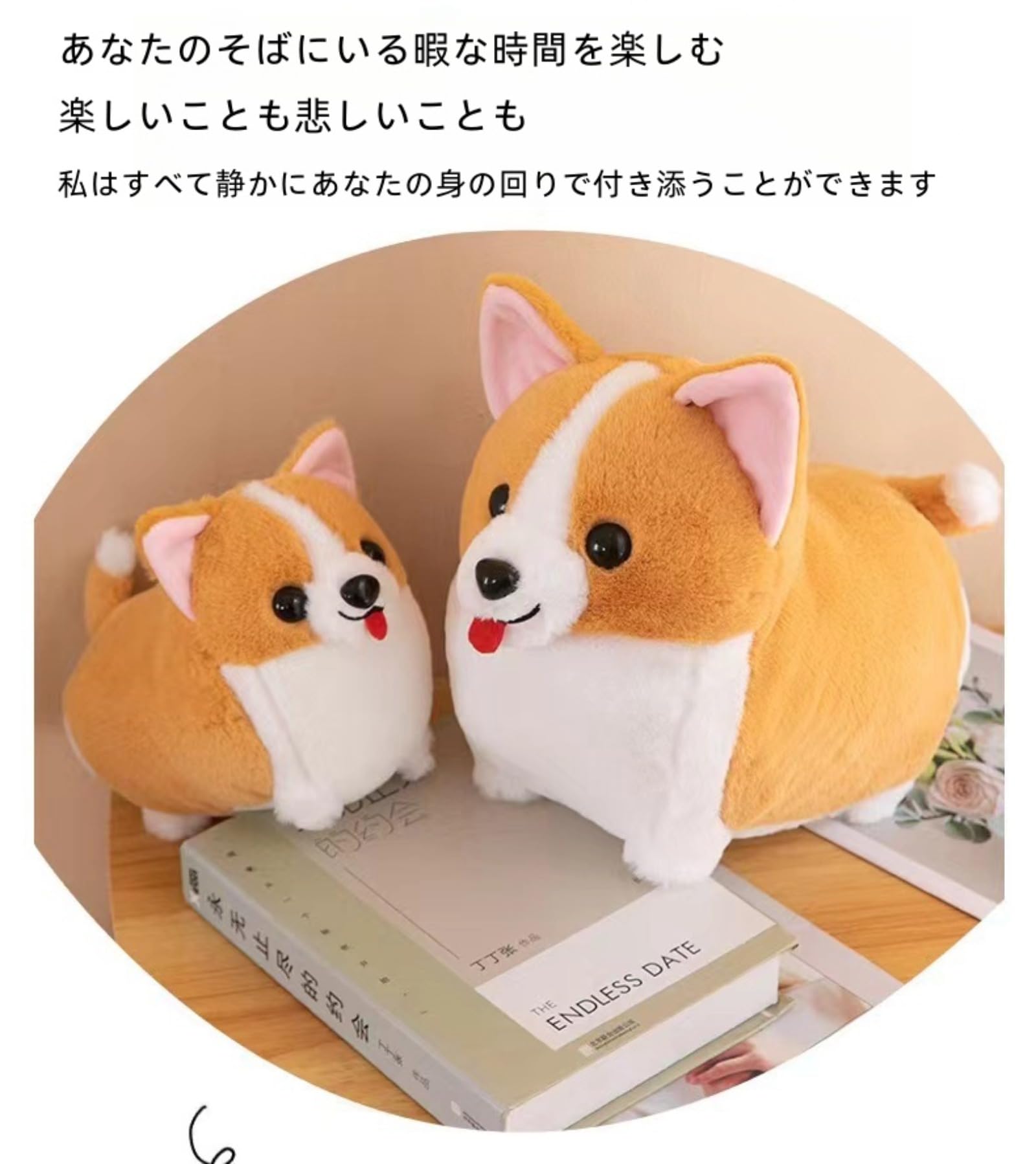 明日で生後5週となるポロンの子犬たち 良く食べ、良く寝て、元気いっぱいです💨 #コーギー子犬 #コーギーのいる暮らし #コーギー癒し #コーギー大好き  #welshcorgi #corgi, image size:1600x1798