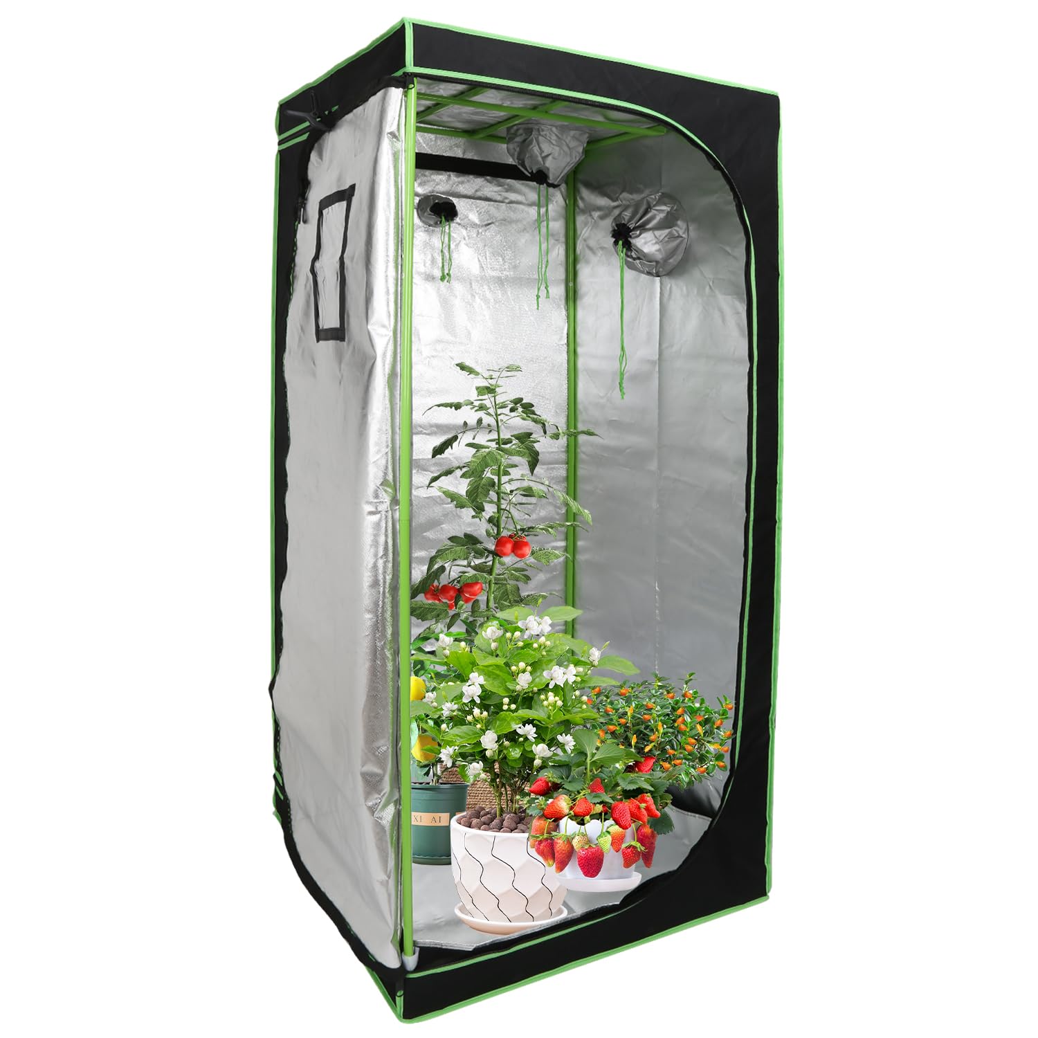 Daromigo Tienda de cultivo para plantas, 80 x 80 x 180 cm, resistente a la luz y al agua, caja de cultivo interior, color negro y verde