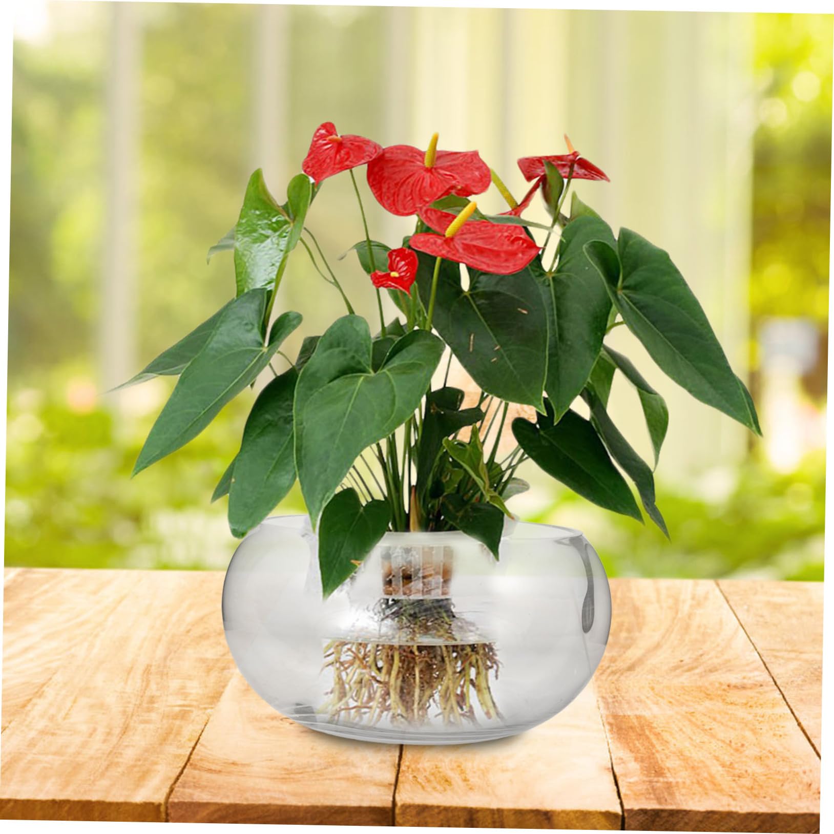 Szklany Wazon Na Sukulenty I Kwiaty Lotosu Przezroczysty Pojemnik Hydroponiczny Miska Na Ryby Szklany Zbiornik Na Akwarium Szklana Donica Bonsai Rośliny Doniczkowe