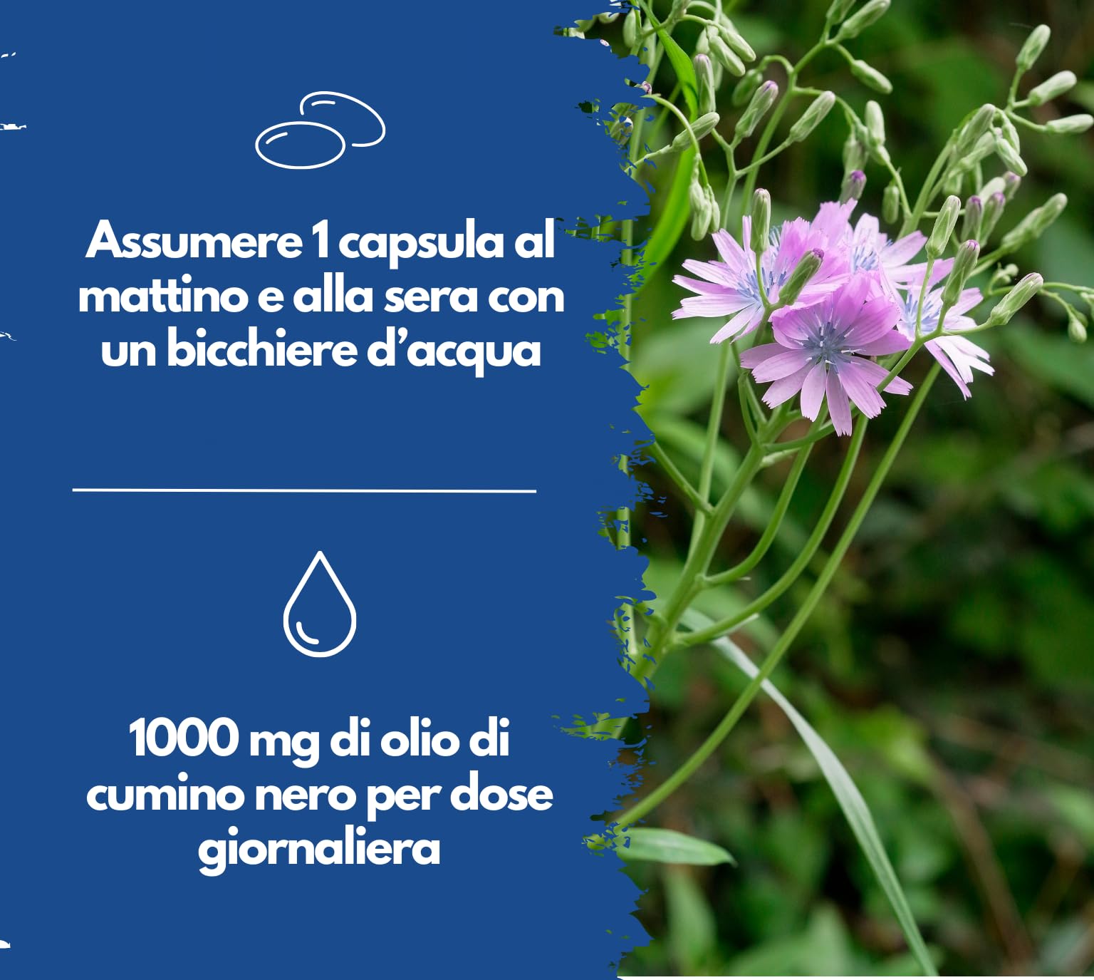 Capsule di olio di cumino nero, 1000 mg, EXVital, spremuto a freddo, egiziano, naturale, con vitamina E, 400 capsule softgel per più di 6 mesi, qualità premium, senza magnesio stearato