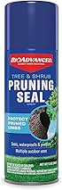 BioAdvanced Tree & Shrub Pruning Seal, Pressurized Spray Can, 13oz