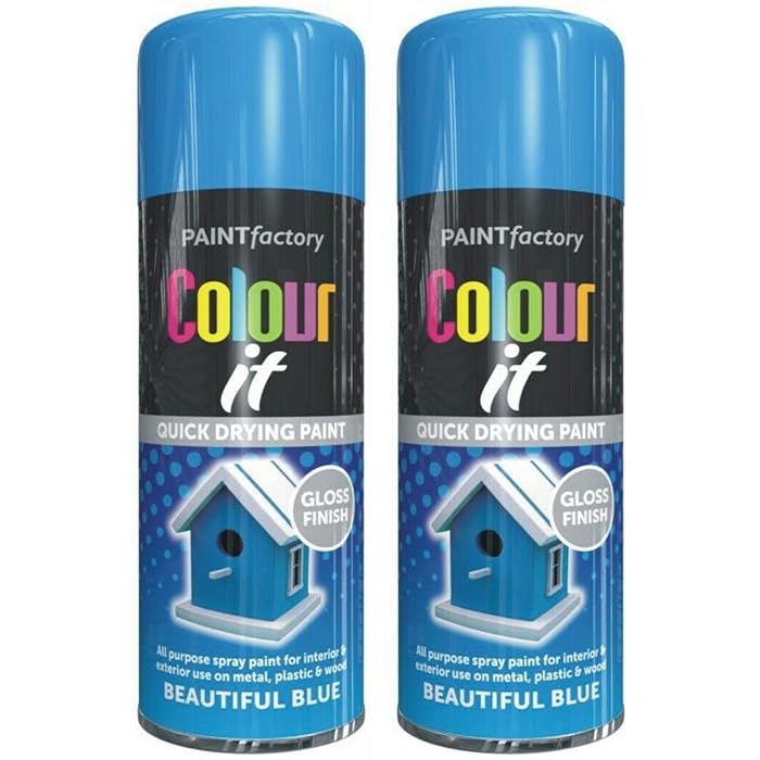 Buy Beautiful Blue Spray Paint, 2 x 400 ML Color It Spray Paint For